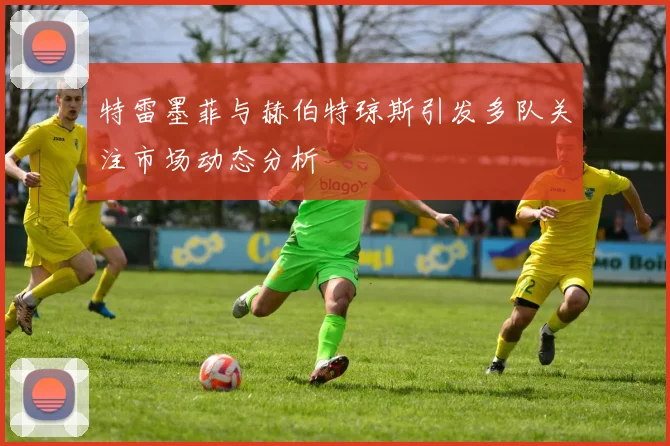 特雷墨菲与赫伯特琼斯引发多队关注市场动态分析