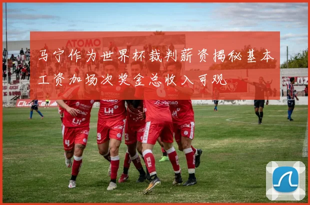 马宁作为世界杯裁判薪资揭秘基本工资加场次奖金总收入可观